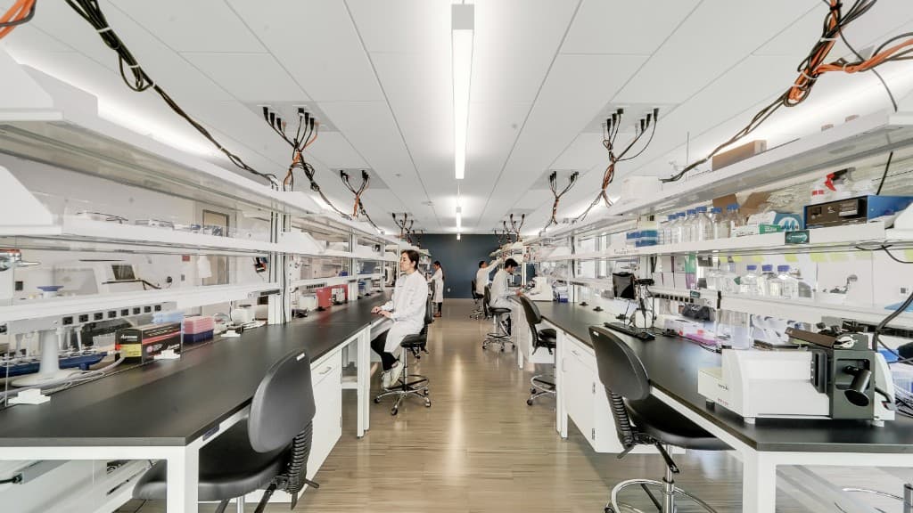 Researchers at work in a peptide analytical laboratory